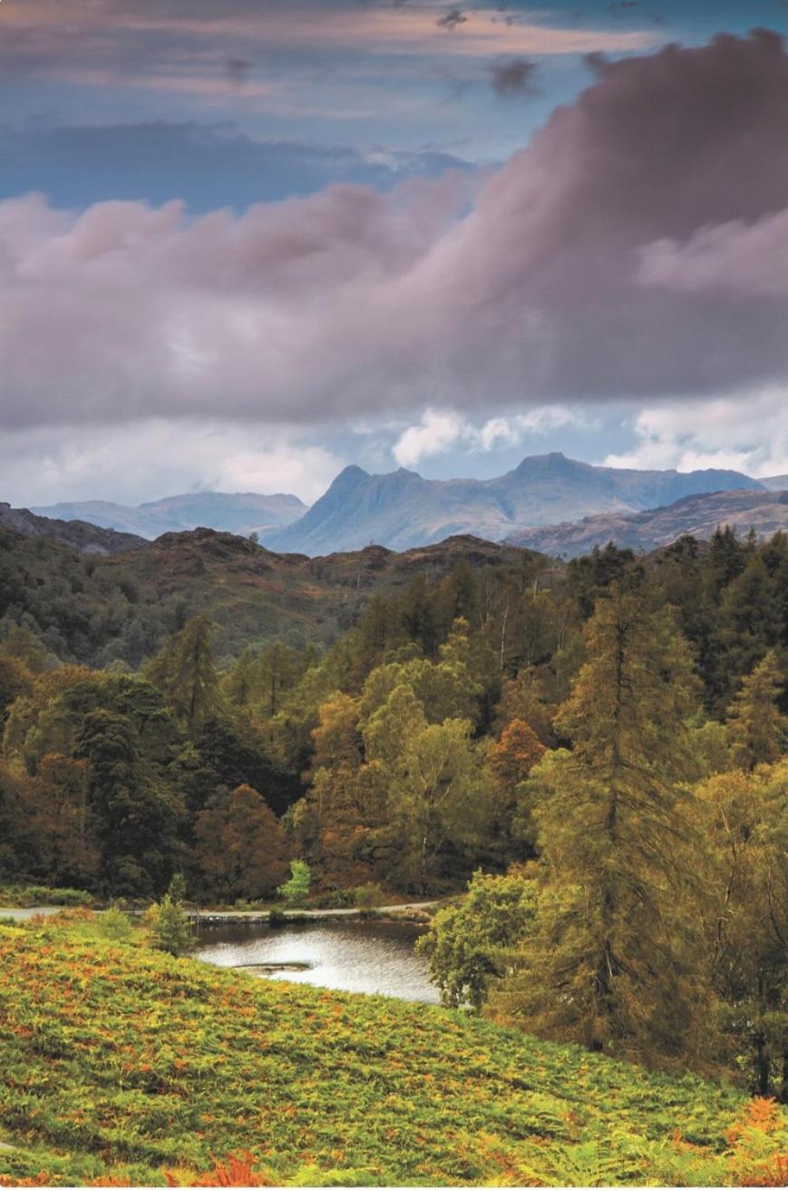 Yewfield Self Catering Apartments Hawkshead Εξωτερικό φωτογραφία